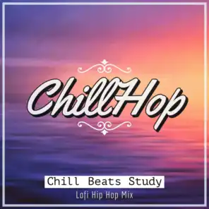 Chill Beats Study: Lofi Hip Hop Mix