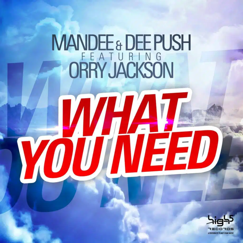 What You Need (feat. Orry Jackson)