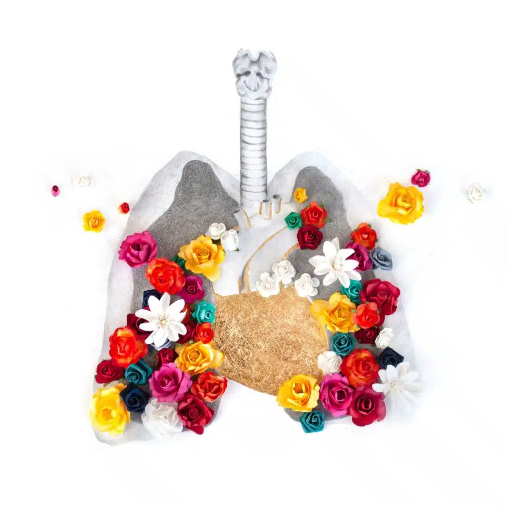 Allen Vladimir Gomez & Orquesta de Cámara de Zapopan