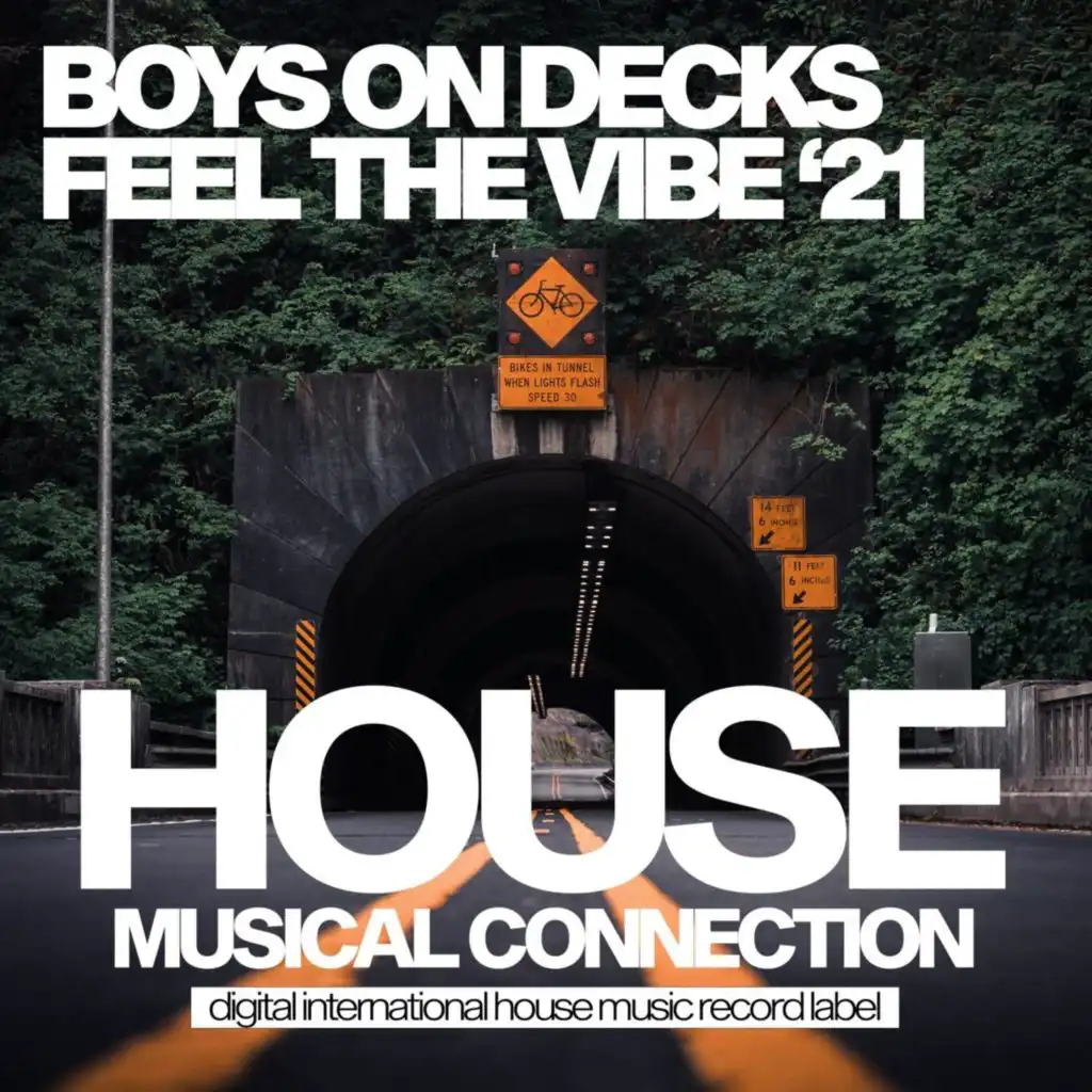 Feel The Vibe (The Acrobatics Dub Mix)
