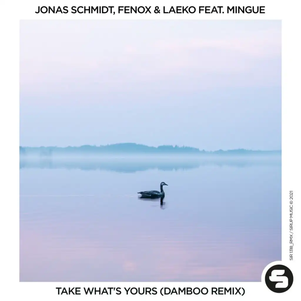 Take What's Yours (Damboo Remix) [feat. Mingue]