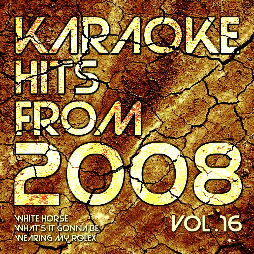 Karaoke Hits from 2008, Vol. 16