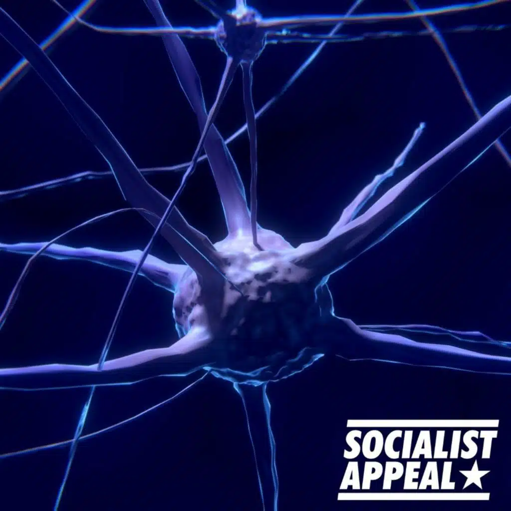 Idealism vs materialism: mind and matter