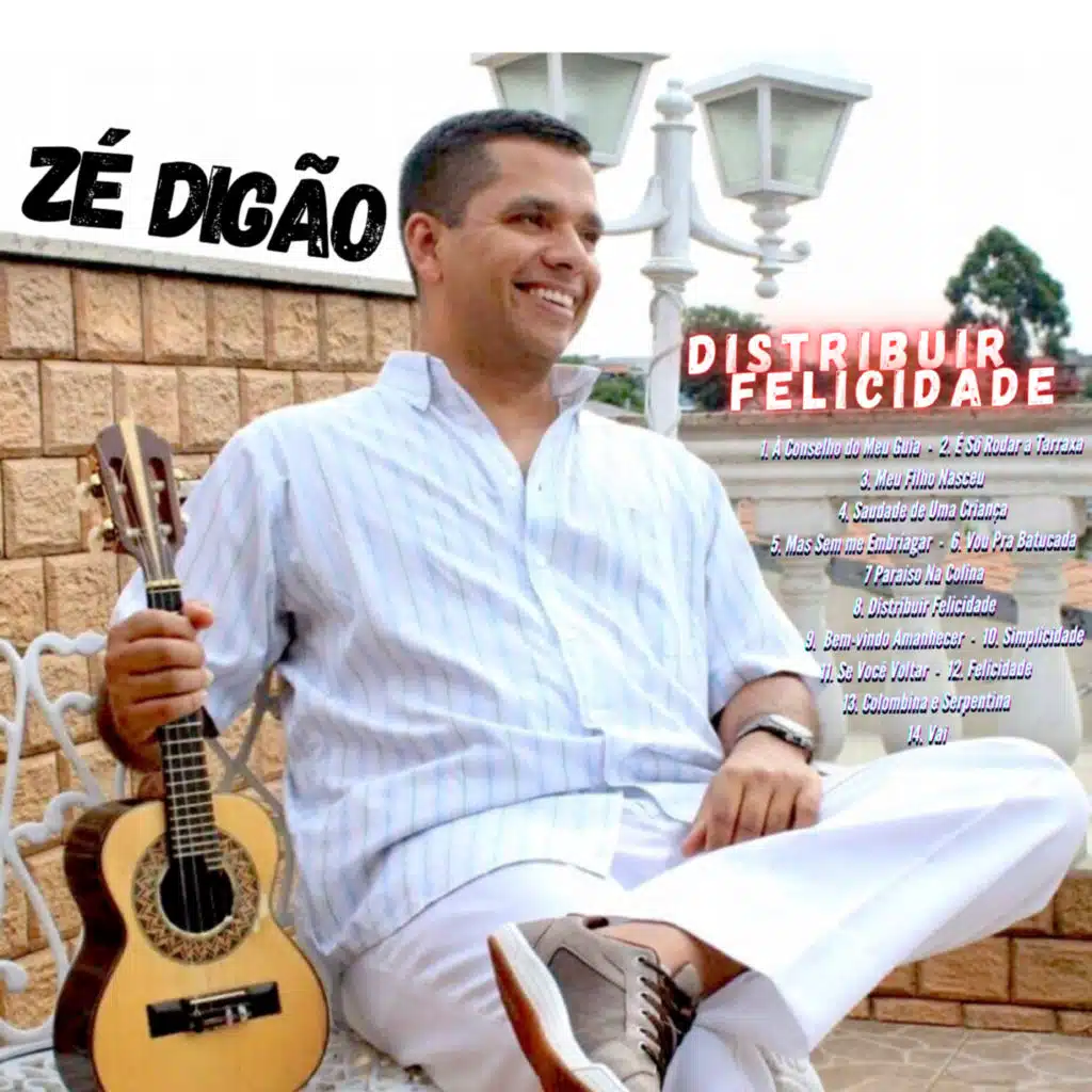 Zé Digão