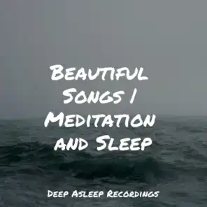 Beautiful Songs | Meditation and Sleep