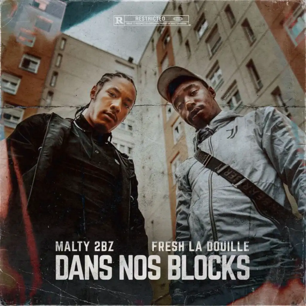 Dans Nos Blocks (feat. Fresh laDouille)