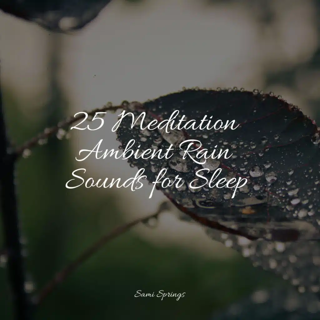 25 Meditation Ambient Rain Sounds for Sleep
