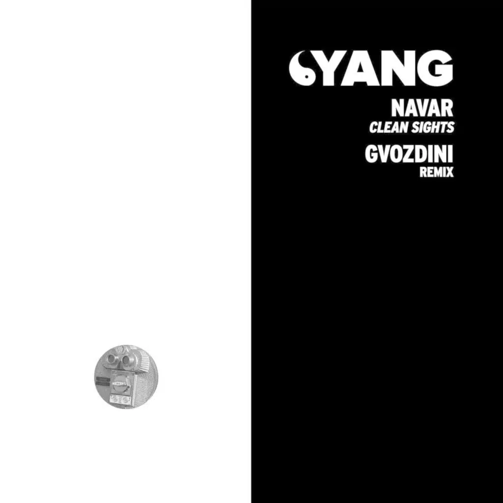 Clean Sights (Gvozdini Remix)