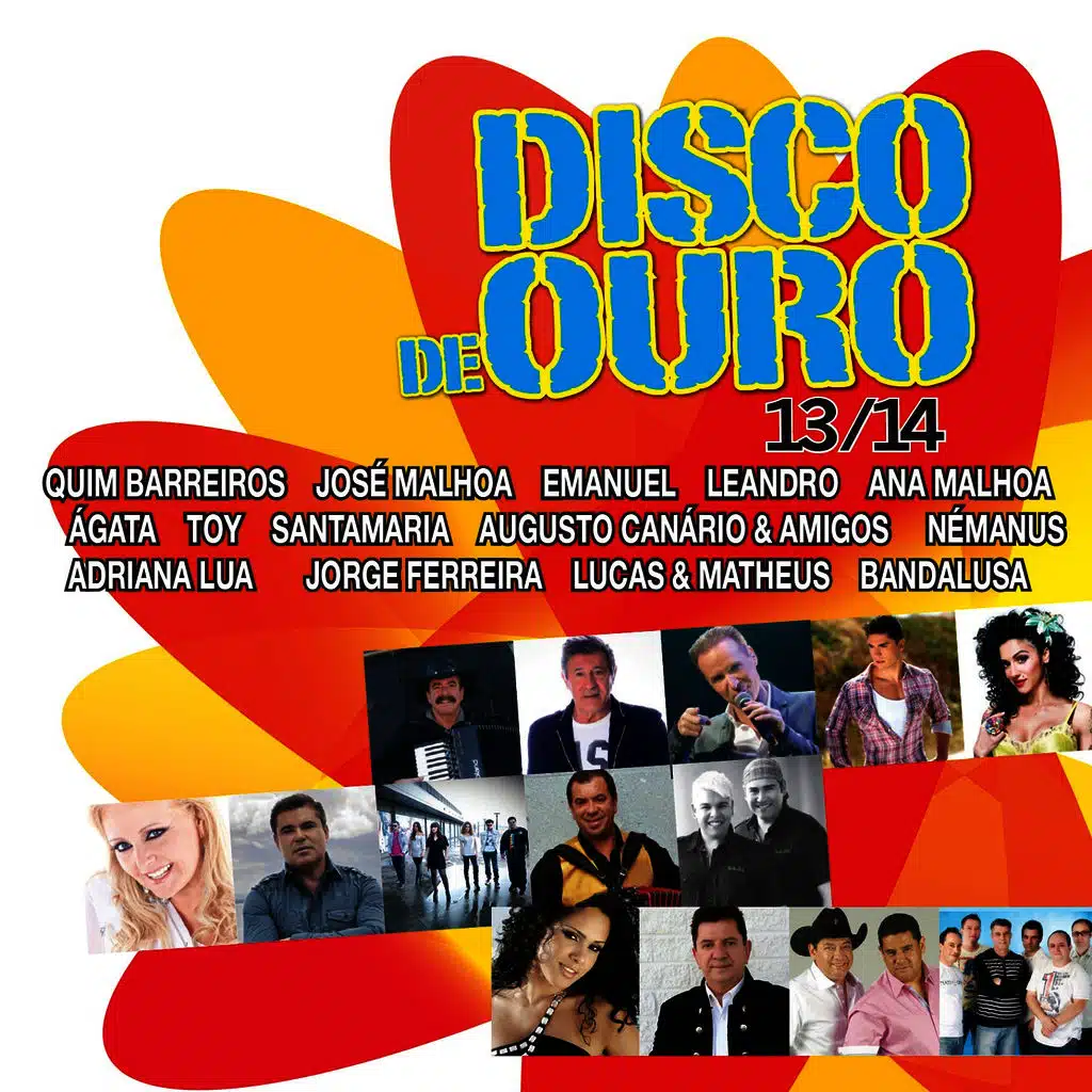 Disco de Ouro 13/14