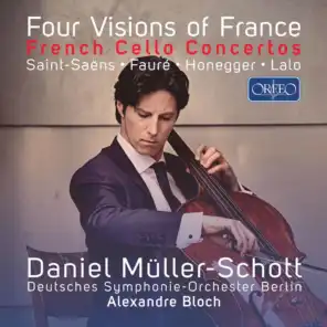 Cello Concerto in D Minor: I. Prélude. Lento - Allegro maestoso