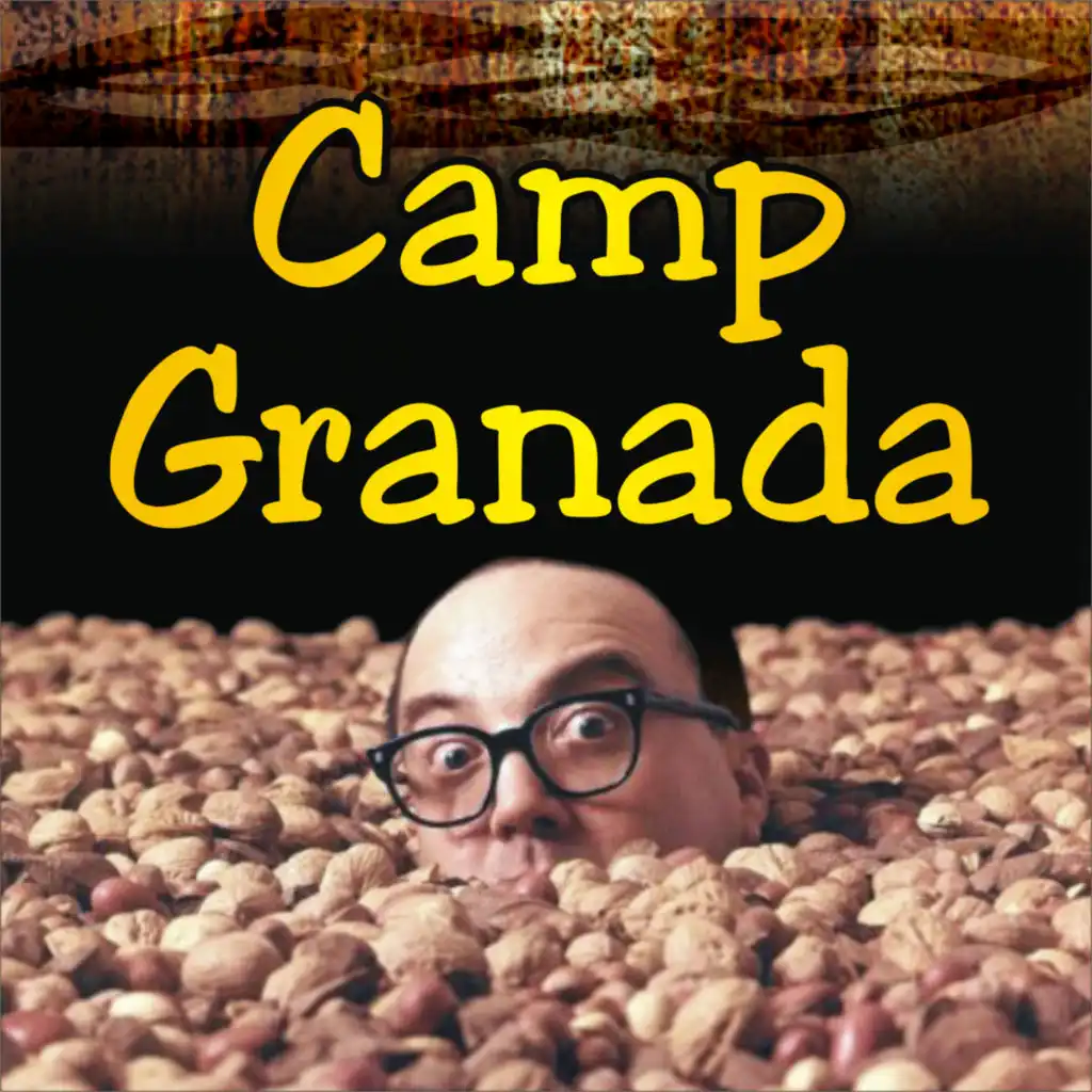 Camp Grenada (Hello Mudder Hello Fadder, Here I Am At Camp Granada)