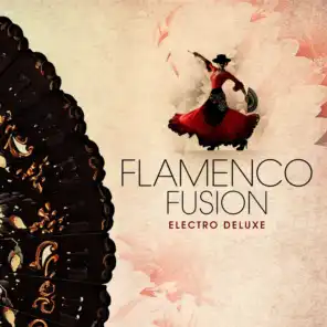 Flamenco Fusion - Electro Deluxe