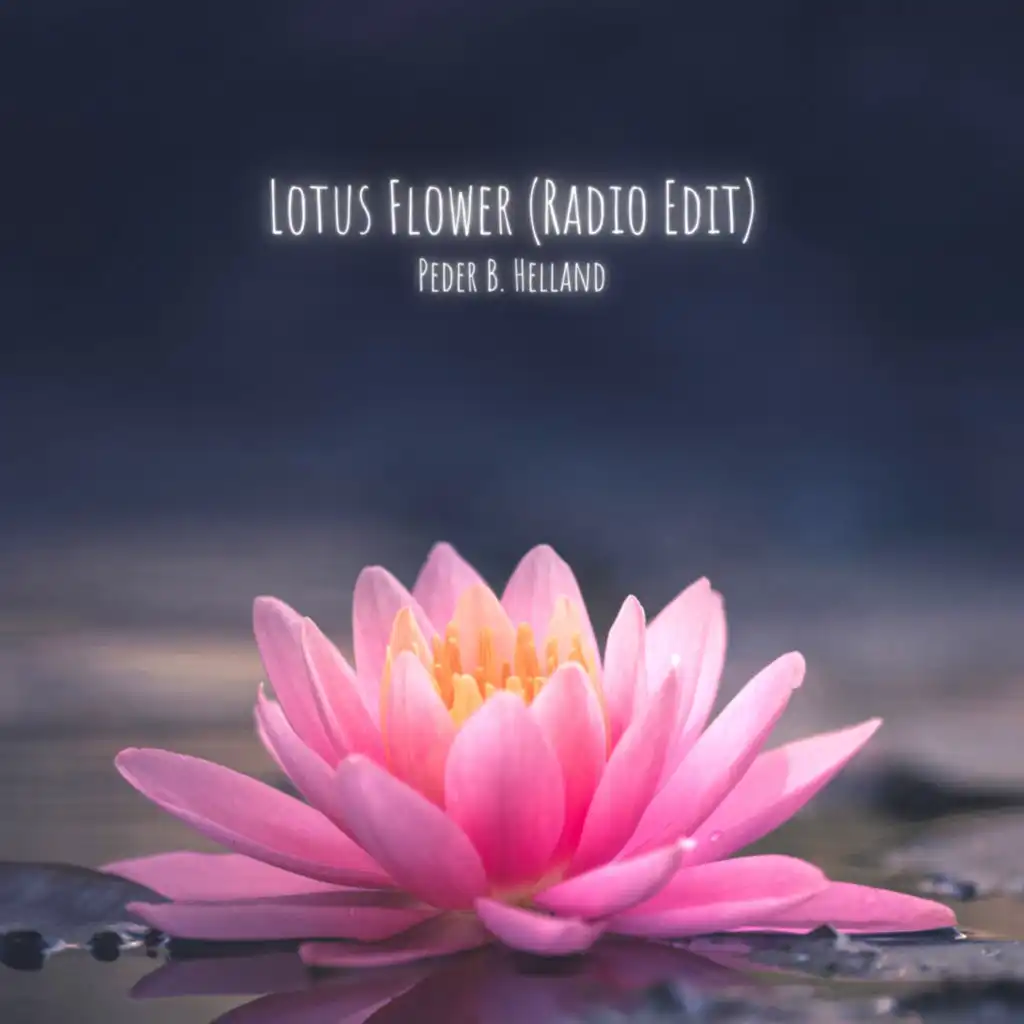 Lotus Flower (Radio Edit)