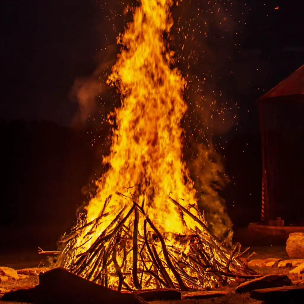 Fireplace Sounds, Fire Sounds & The Nature Soundscapes