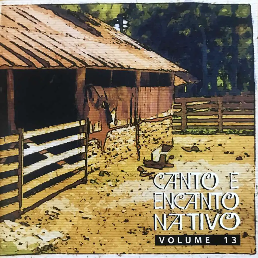 Canto e Encanto Nativo, Vol. 13