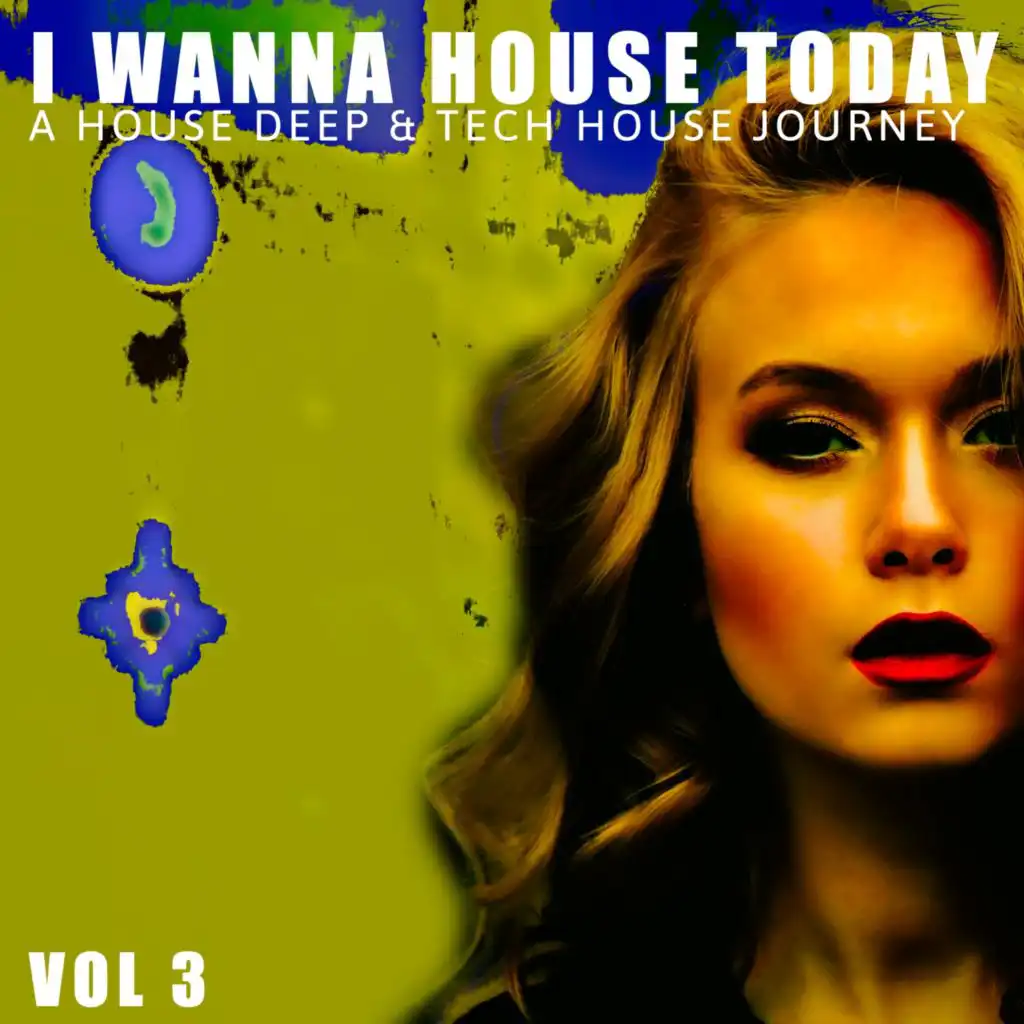 I Wanna House Today!, Vol. 3