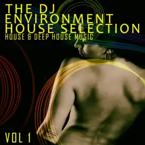 The DJ Environment: House Selection, Vol. 1