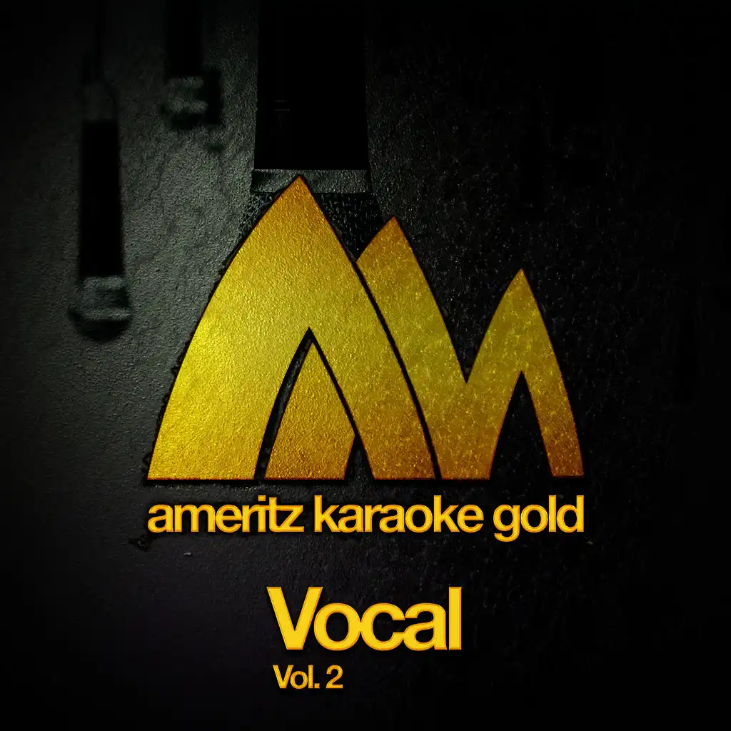 Ameritz Karaoke Gold - Vocal, Vol. 2