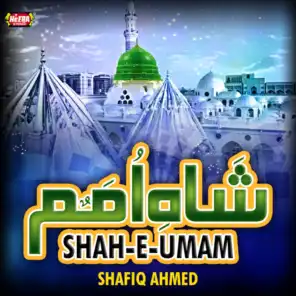 Shafiq Ahmed