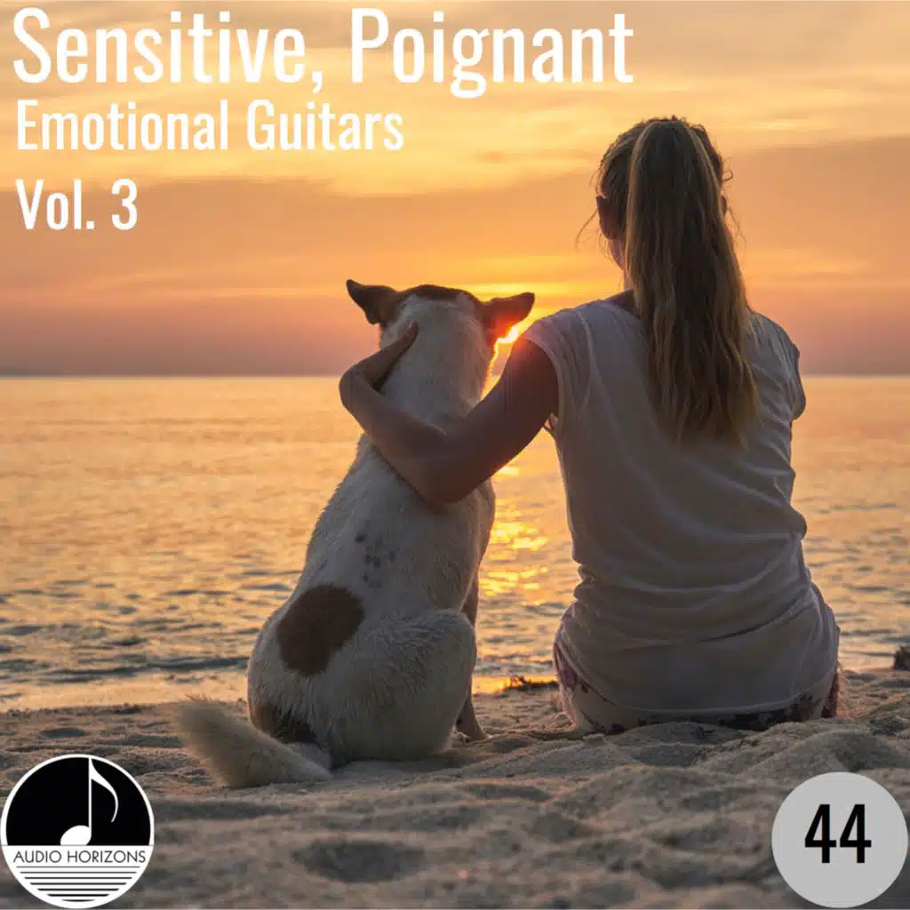Sensitive, Poignant 44 Emotional Guitars Vol 3