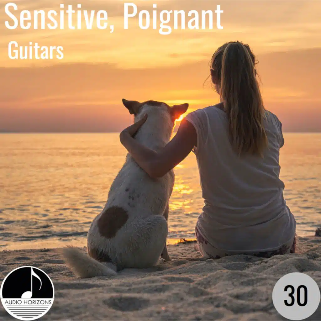 Sensitive Poignant 30 Guitars