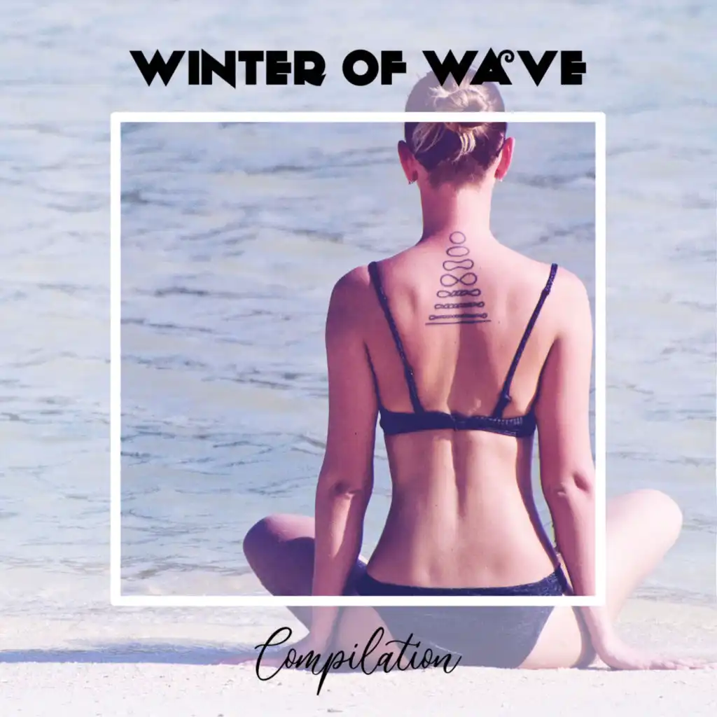 Winter Of Wave Compilation