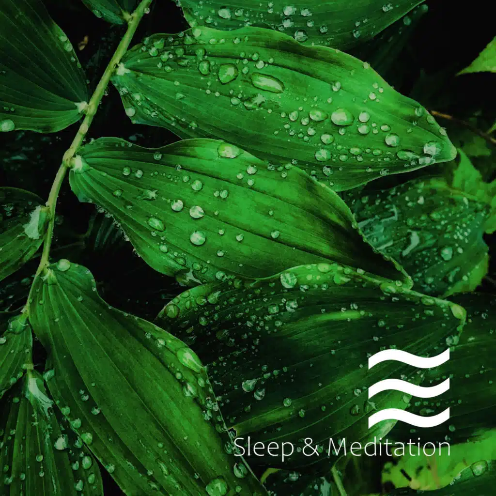 Sleepy Sounds of Nature for Sleeping Babies