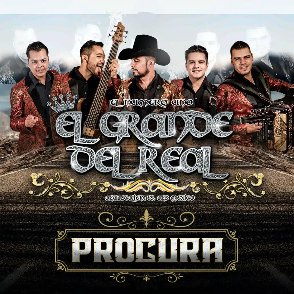 Procura