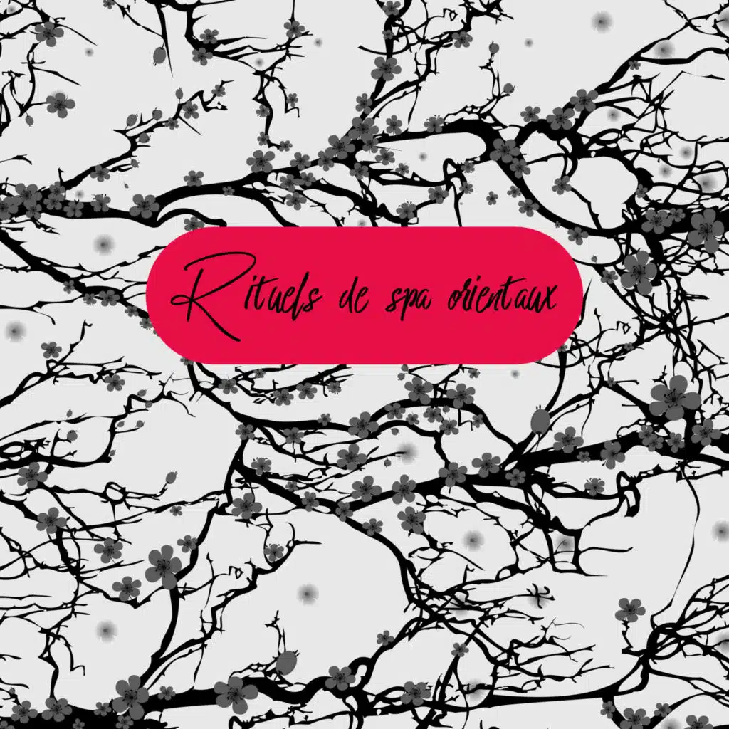 Oasis de Musique Zen Spa, Zone de Détente & Académie de bien-être