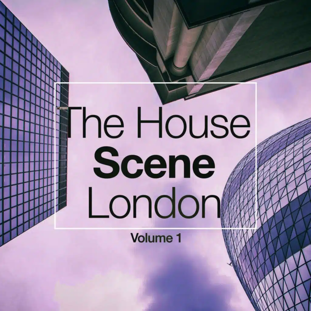 The House Scene: London, Vol. 1 (A DJ House Selection)