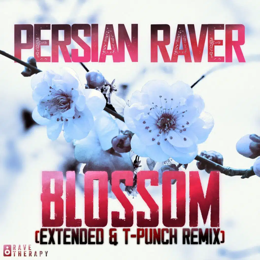 Blossom (Extended & T-Punch Remix)
