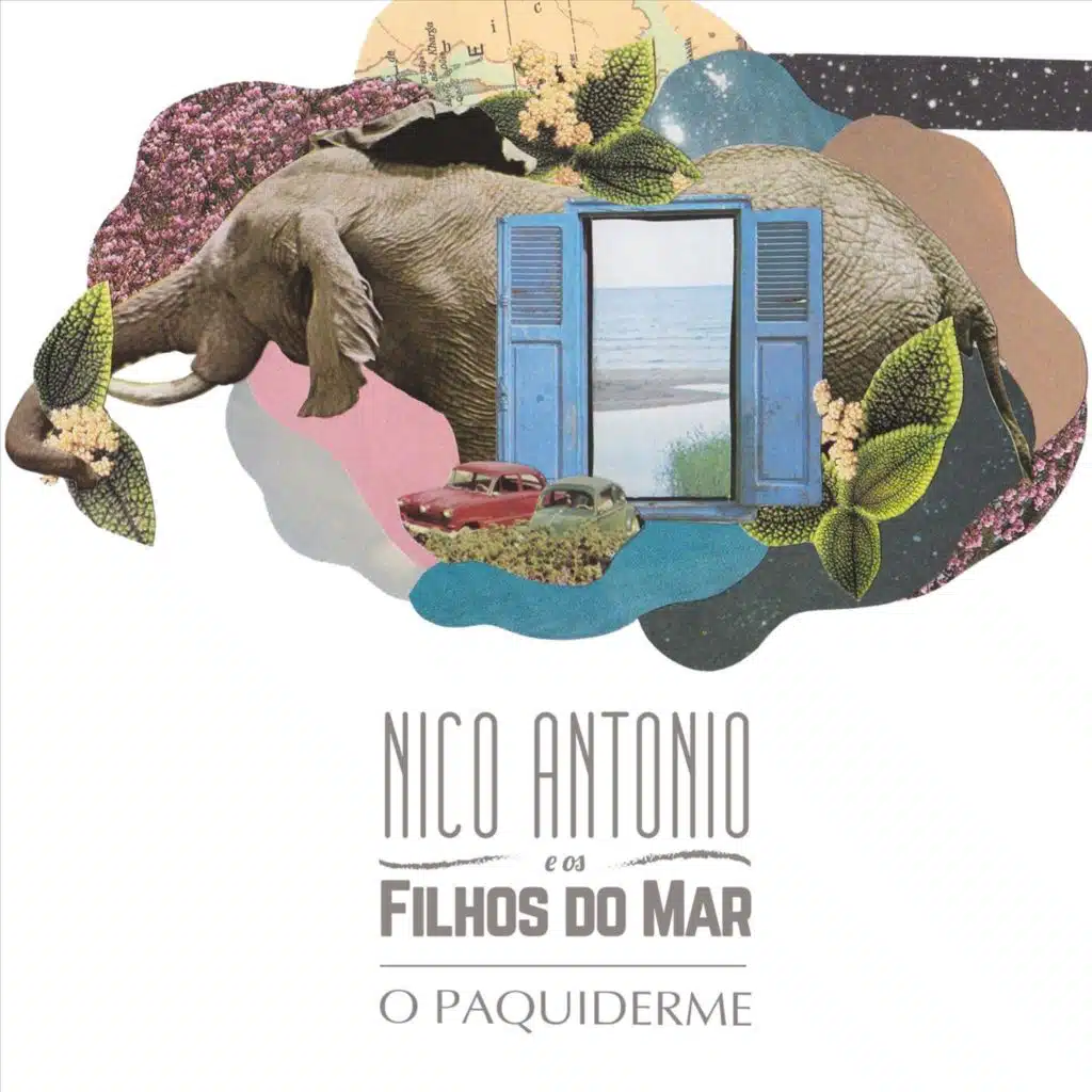 O Paquiderme