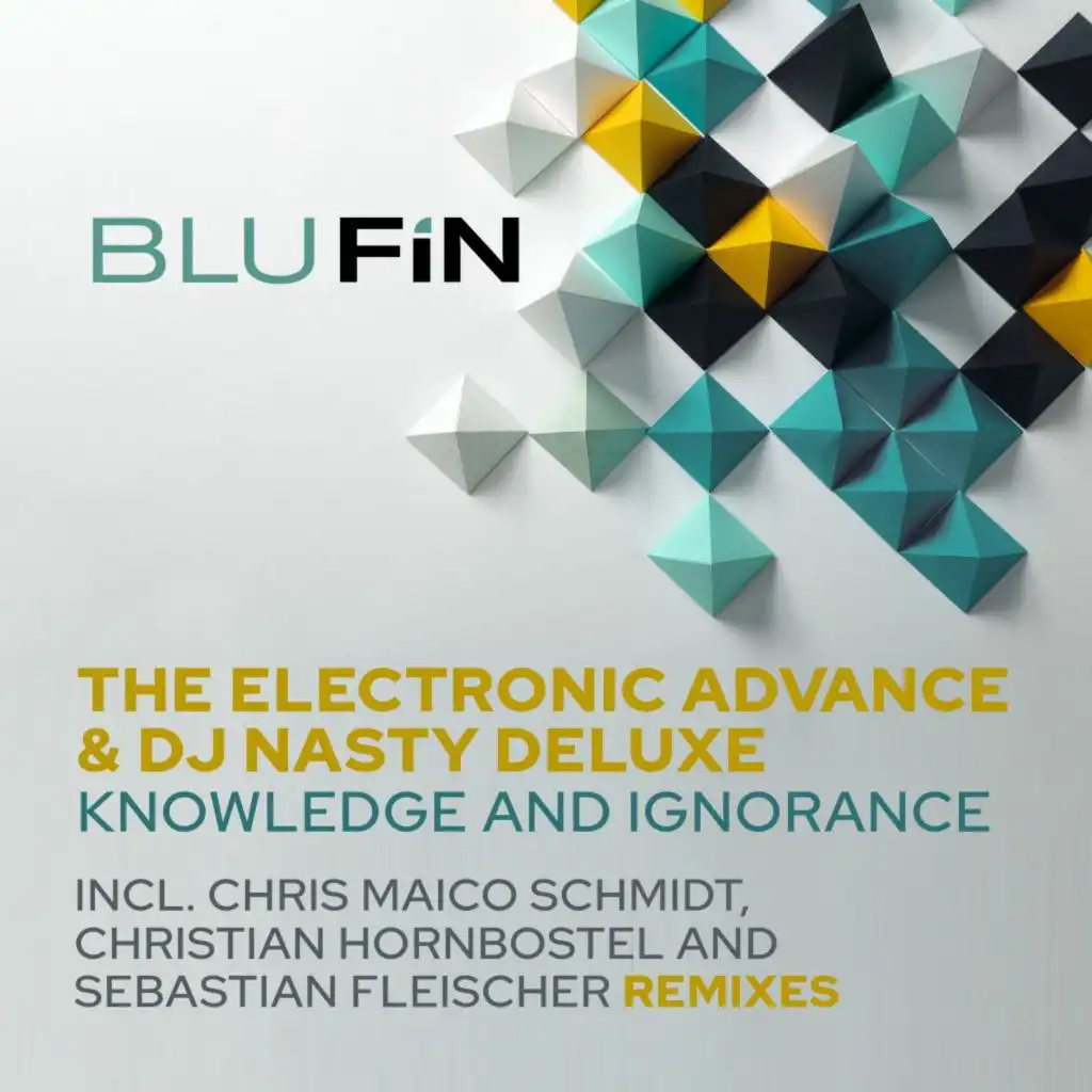 Knowledge and Ignorance (Sebastian Fleischer Remix)