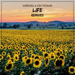Life (We Are Free) [Duffee Remix]