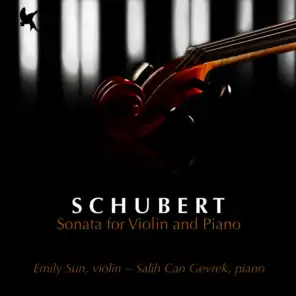 Sonata for Violin and Piano in G Minor, D. 408: I. Allegro giusto