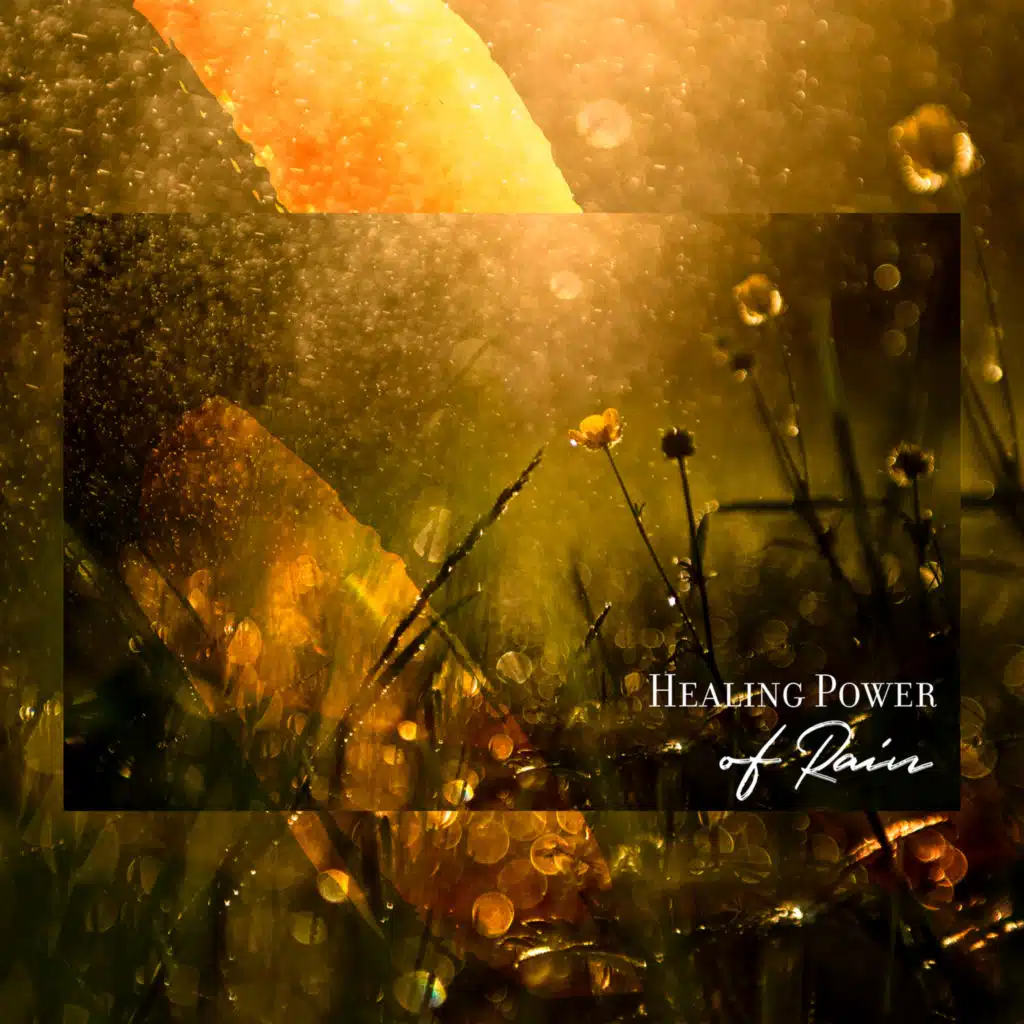 Healing Power of Rain – Soothing Rain Sounds for Meditation & Stress Relief, Relaxing Sounds of Nature, Harmony of Senses, Find Inner Peace