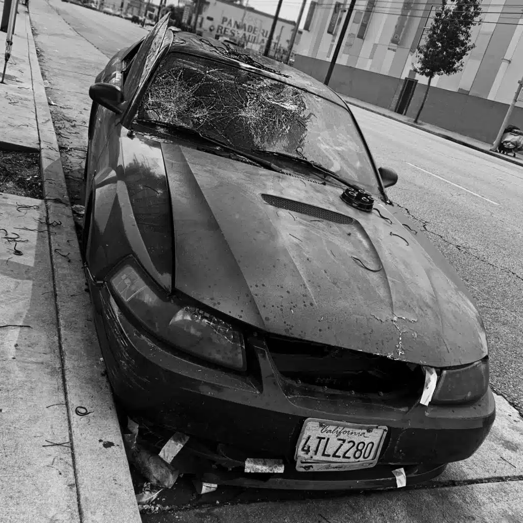 Bestowed Order On Chaos