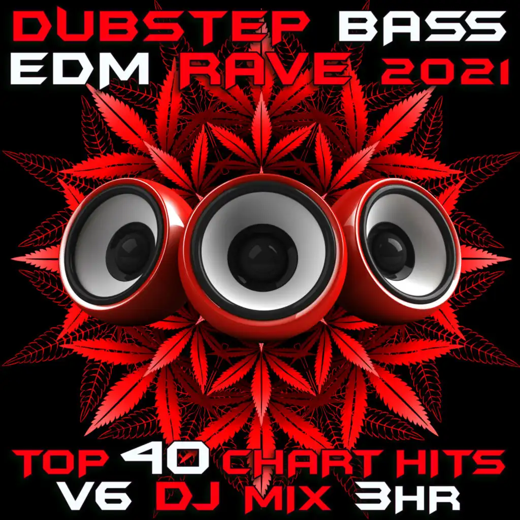 Monsters (Dubstep Bass EDM Rave 2021 DJ Mixed)