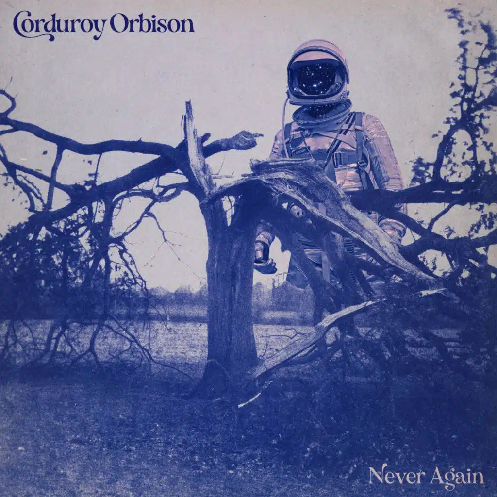 Never Again
