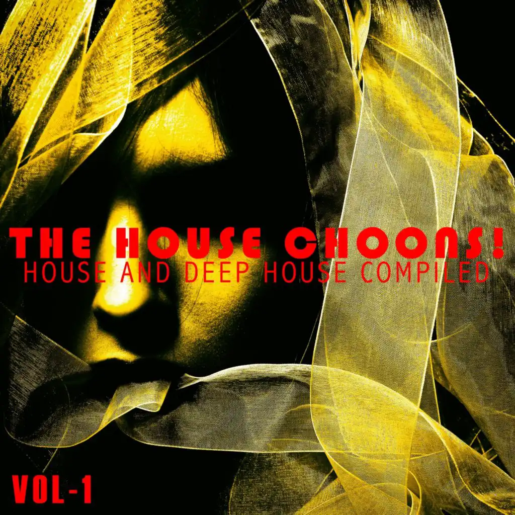 The House Choons!, Vol. 1