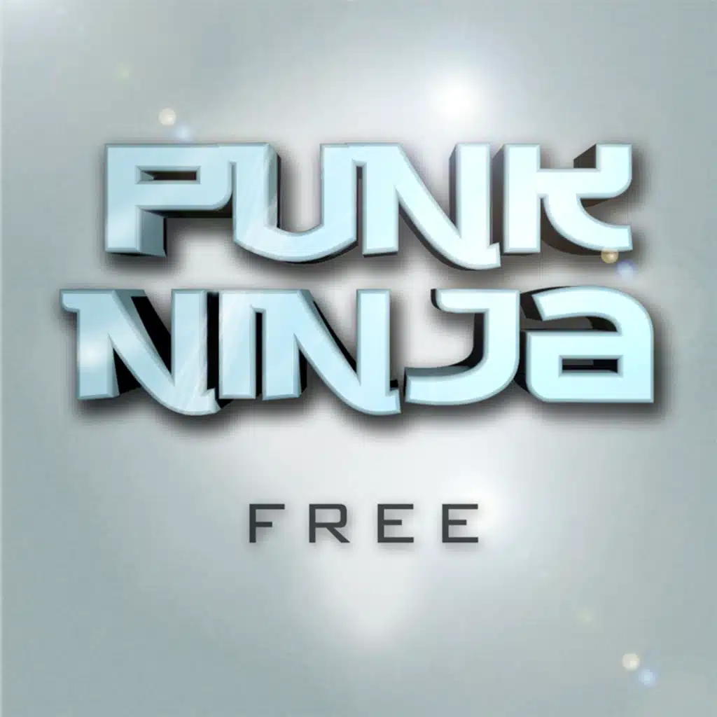 Punk Ninja