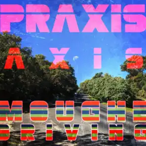 Praxis Axis