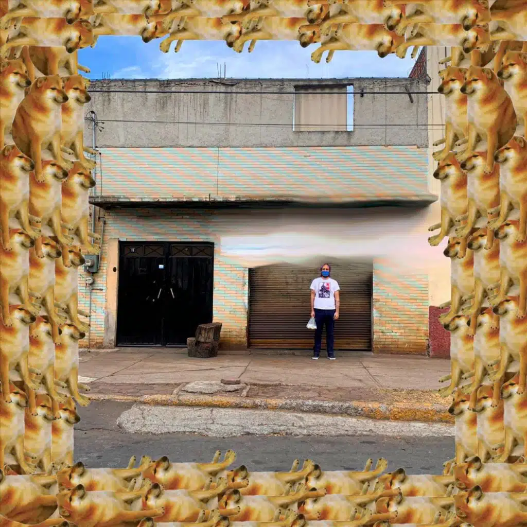 La Muerte del Camp Noise