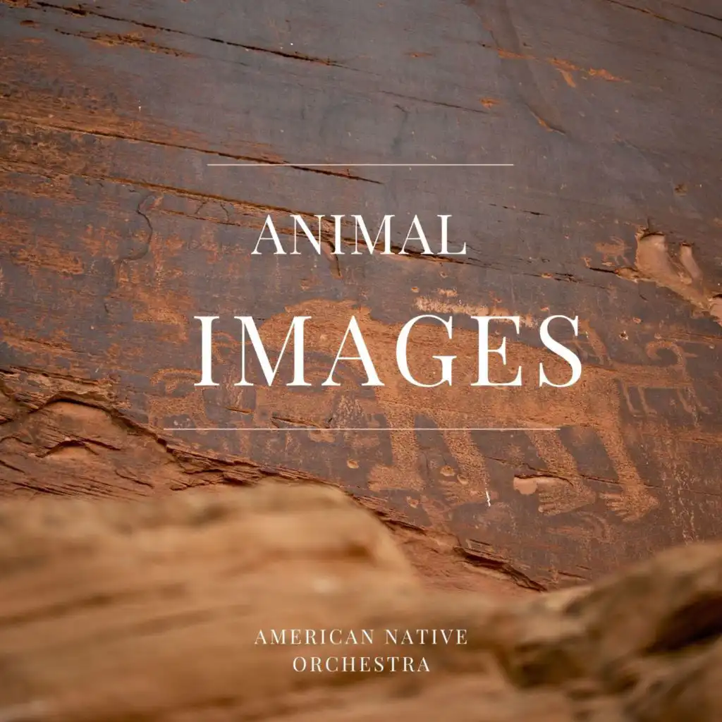 Animal Images