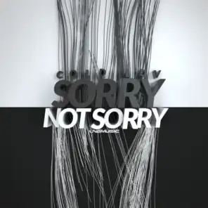 Sorry Not Sorry (Radio Edit)