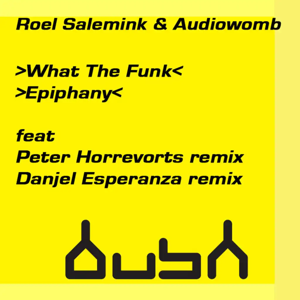 What the Funk (Peter Horrevorts Remix)