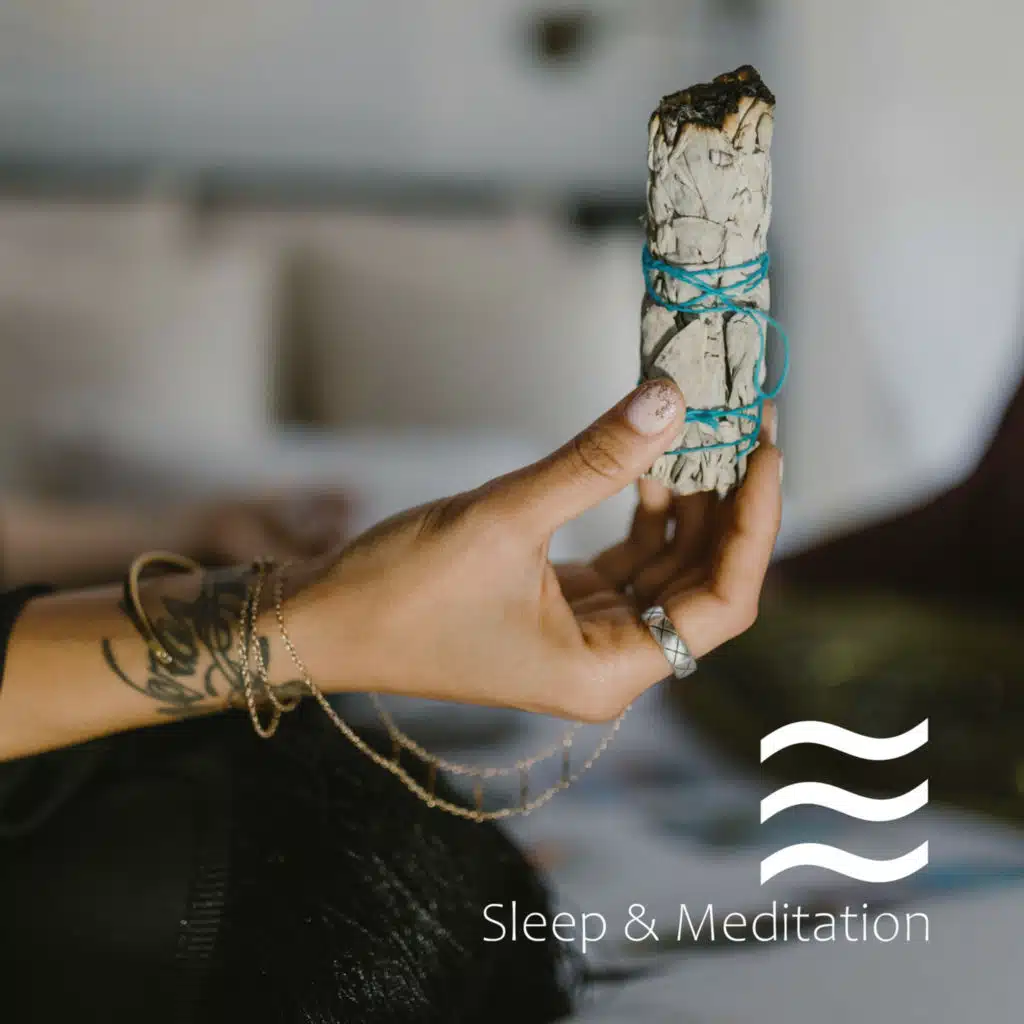 Practica la meditación