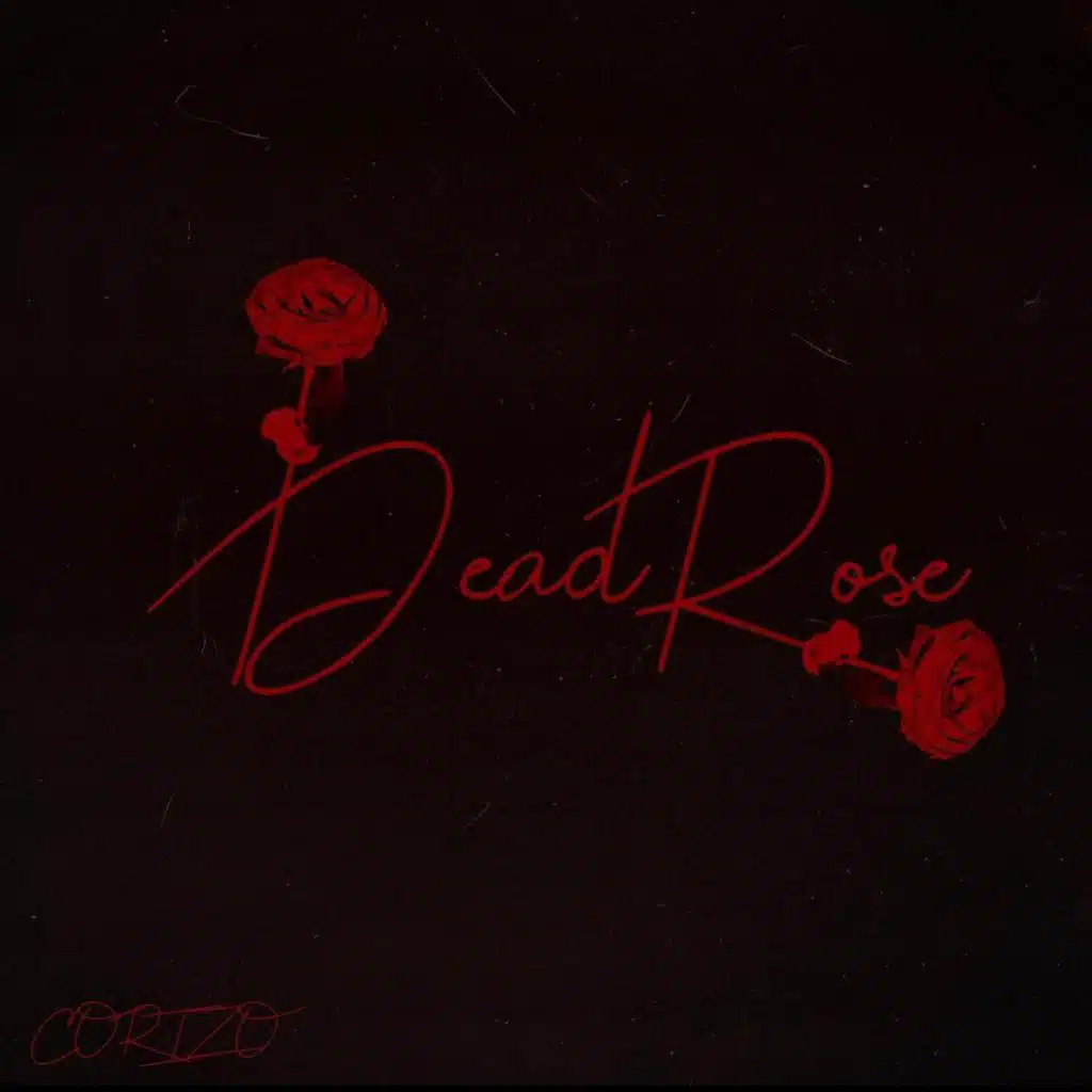 Dead Rose