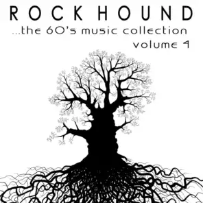 Rock Hound: The 60's Music Collection, Vol. 4