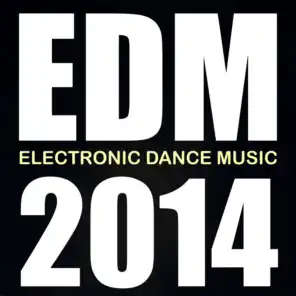 EDM 2014